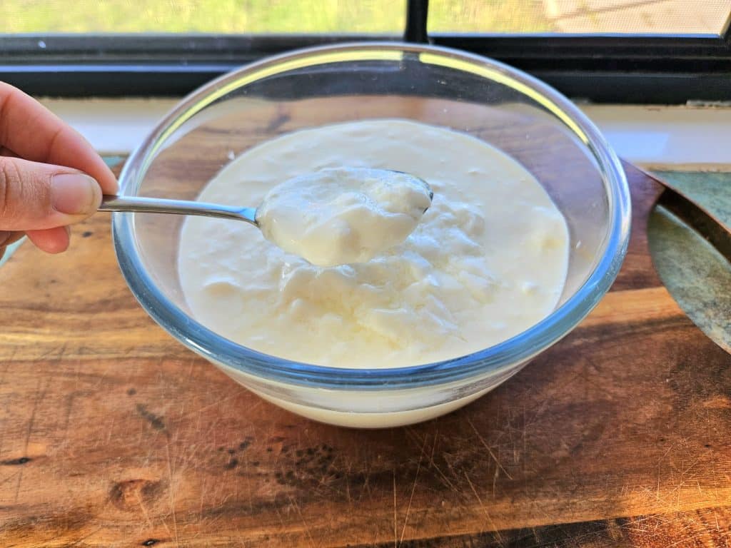 Milk kefir being scooped up from a bowl.