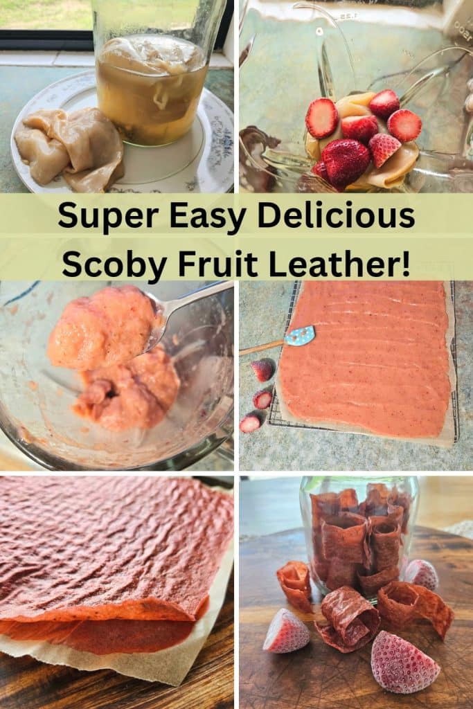 steps on how to make a scoby fruit leather.