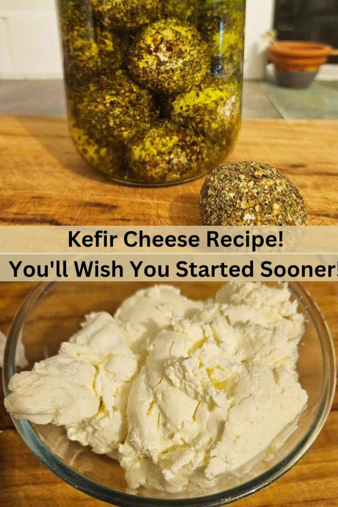 Kefir cheese turned into dream cheese rolled in spices. Thickened kefir cheese in a bowl at the bottom.