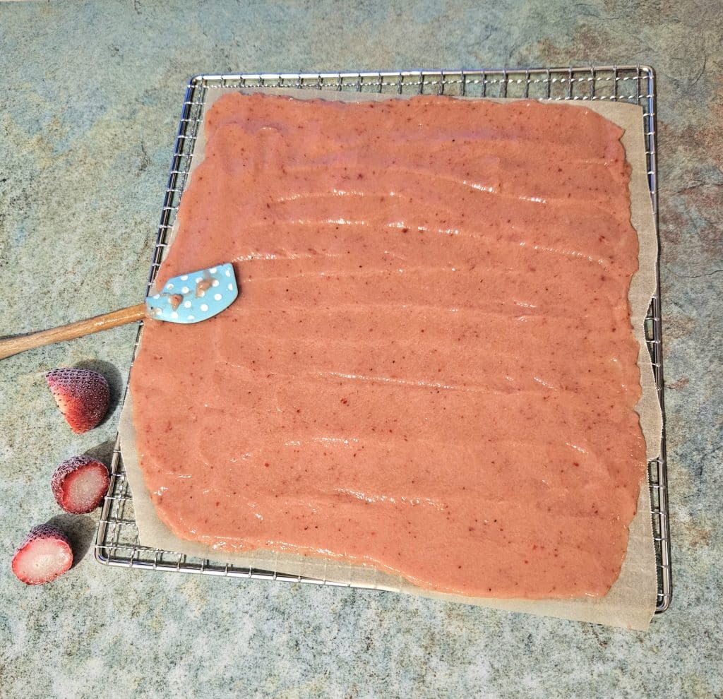 Scoby blended and spread onto parchement paper.