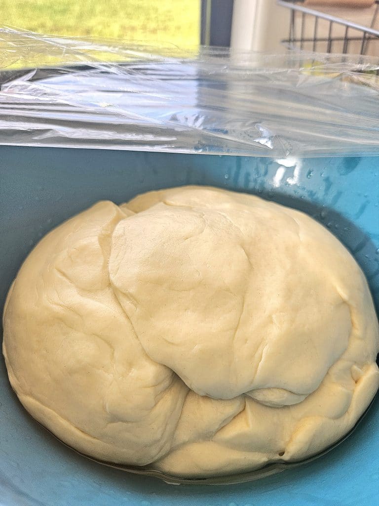 Sourdough bulk rising. Doubled in size in a bowl.