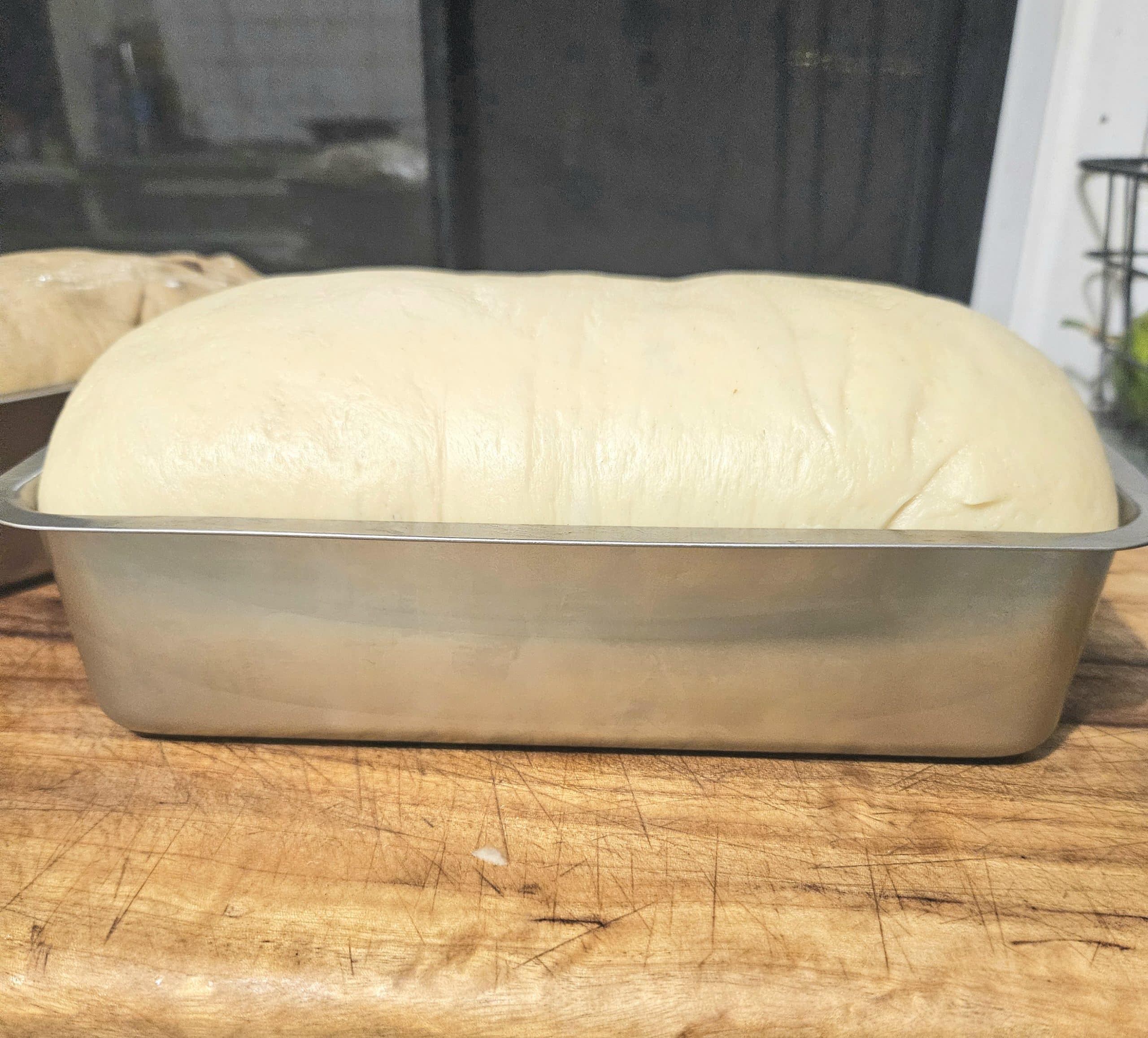 Sourdough bread finishing its 2nd rising. Ready to be baked.