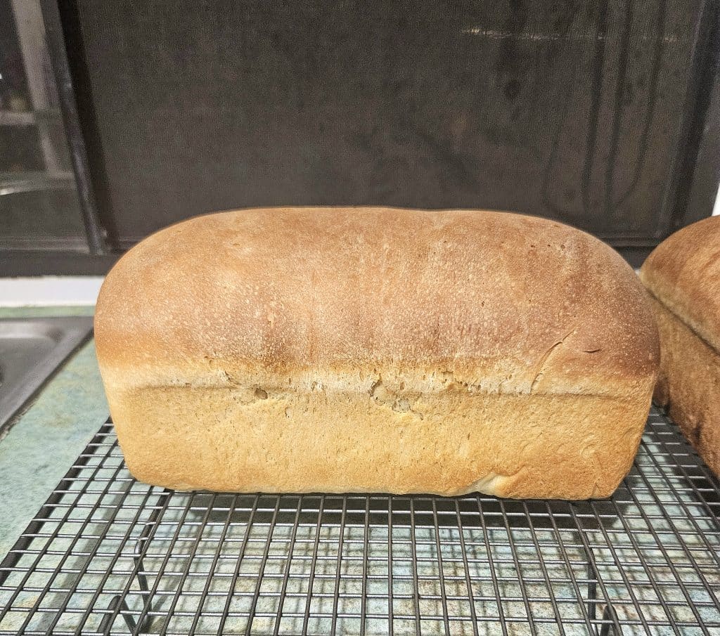 Soft Fluffy Sourdough sandwich bread fresh from the oven.