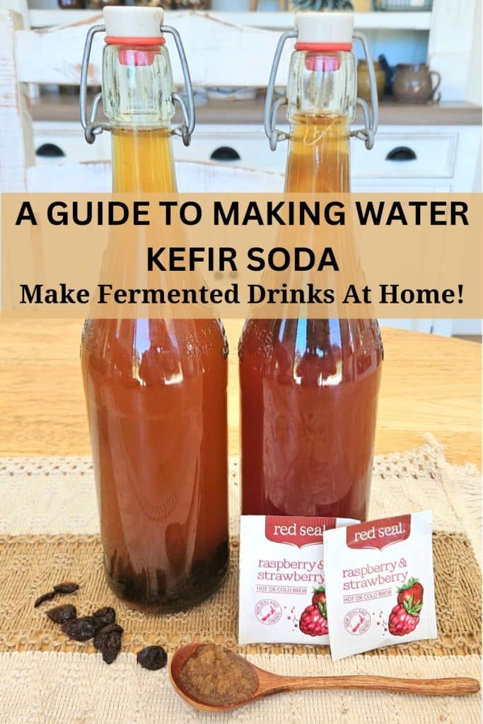 Water kefir bottles with tea bags and dried fruit. Kefir grains on a spoon on table.