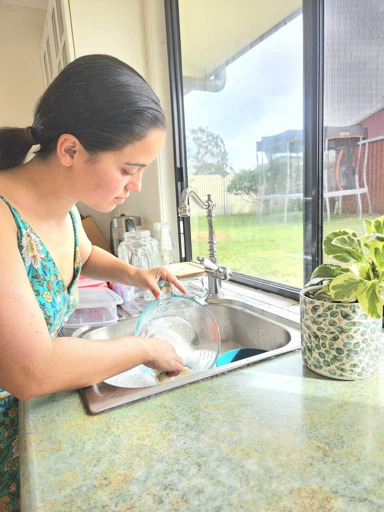 Homemaker washing the dishes.