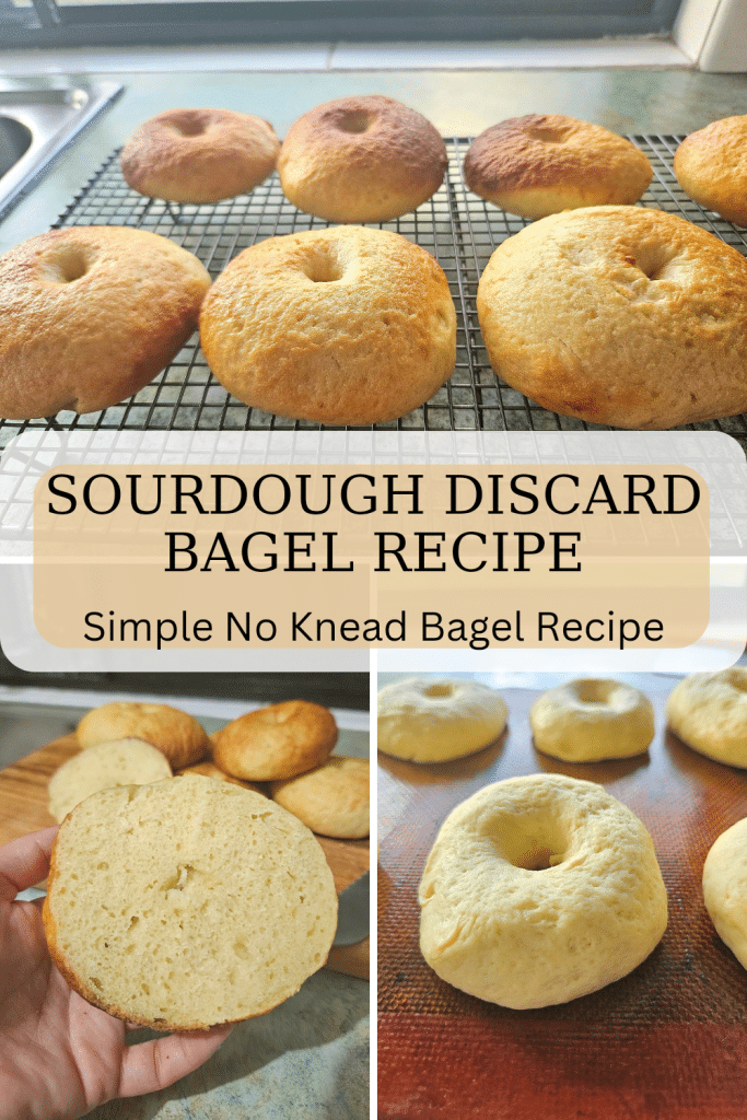 An easy homemade sourdough discard bagel recipe. You will love this chewy no knead simple recipe. Great for breakfast, lunch or as a snack.