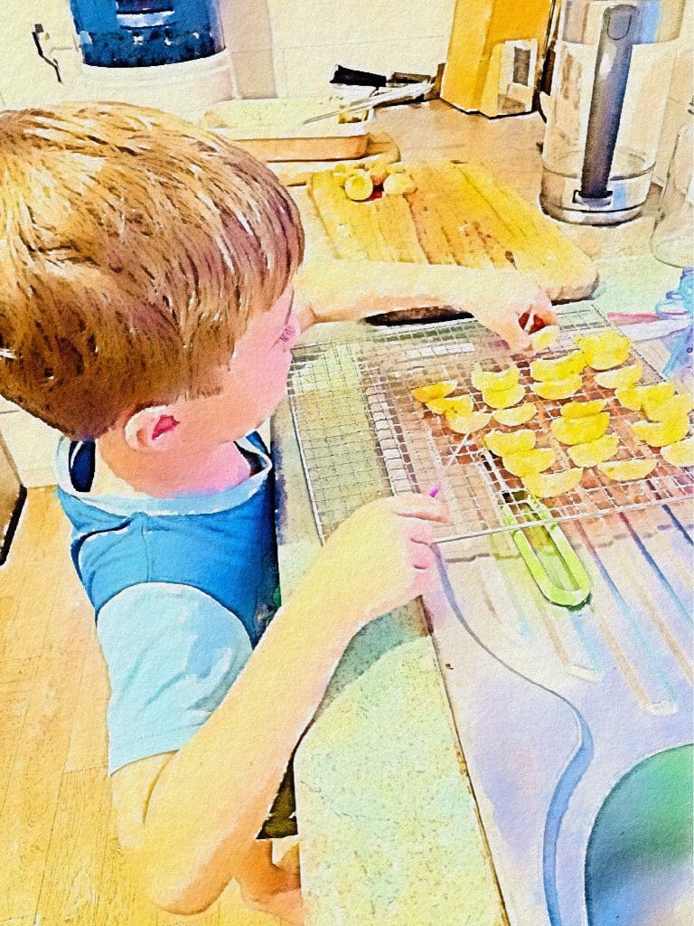 A boy slicing fruit to dehydrate.