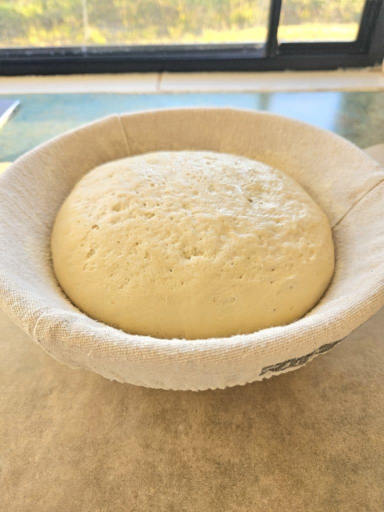 Letting Sourdough artisan proof in a banneton basket.