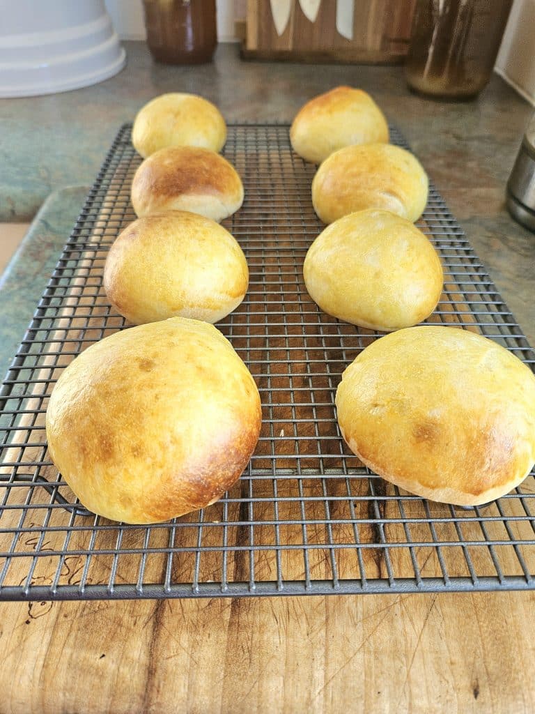 Sourdough hamburger buns cooling on a coolin rack.