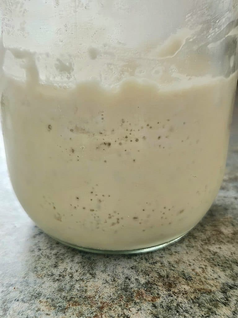 Bubbly sourdough starter