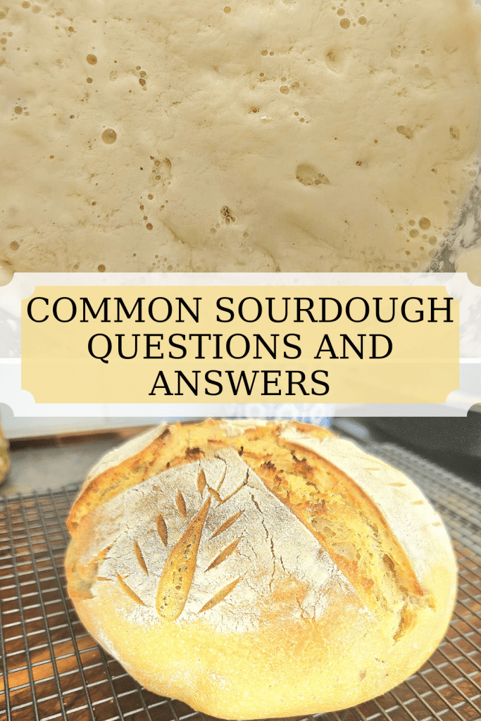 Here is a list of common sourdough questions and answers to those questions. Sourdough can be confusing but with a little help it can be easy.