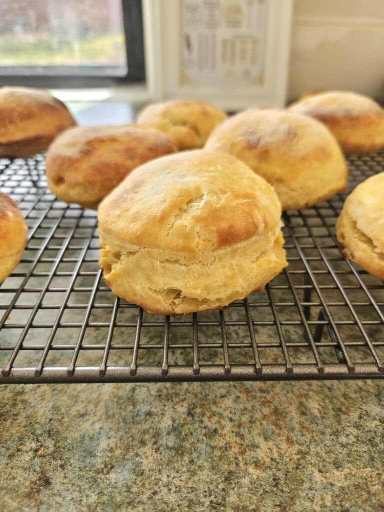 Sourdough scones resting on a cooling rack.