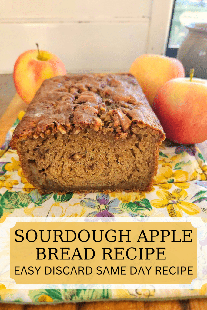 A simple sourdough discard apple bread recipe. Sweet taste of cooked apples, and aromatic flavour of cinnamon makes this a perfect dessert.