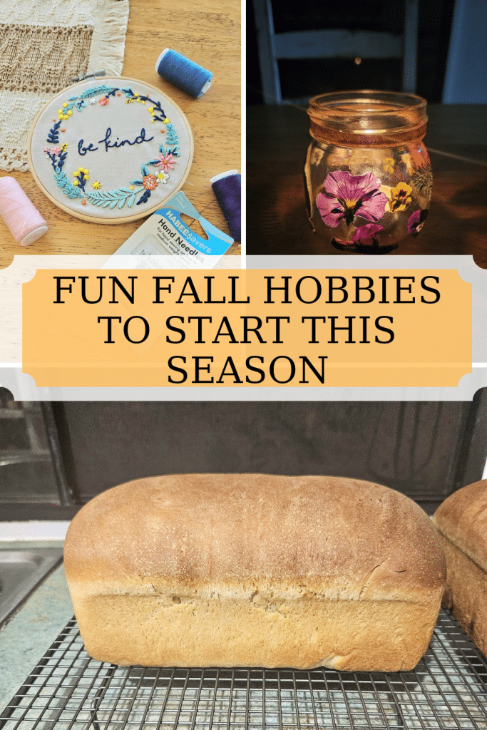 Here is a list of fall hobbies you can start this season. Fun activities you can do by yourself or as family. Embrace the autumn season.