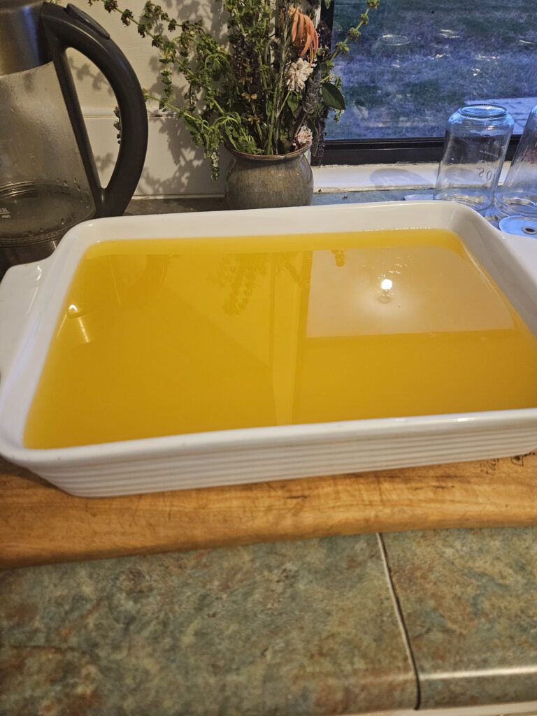 Rendered beef tallow cooling in a pan.