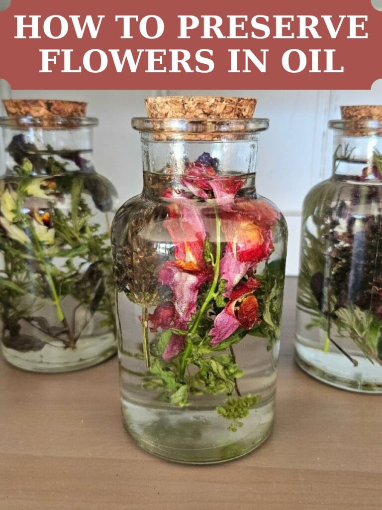 Learn how to preserve flowers in baby oil to keep their beauty and vibrance for longer. A simple and easy DIY home decor idea.