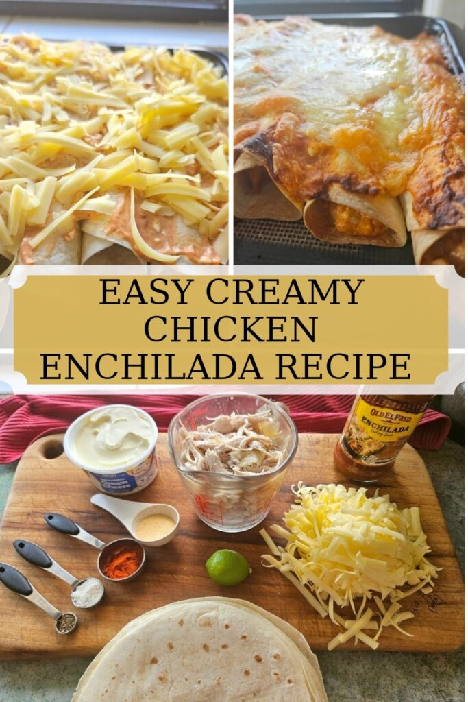 An easy, delicious, creamy chicken enchilada recipe everyone will love. This is a simple, healthy quick dinner recipe.