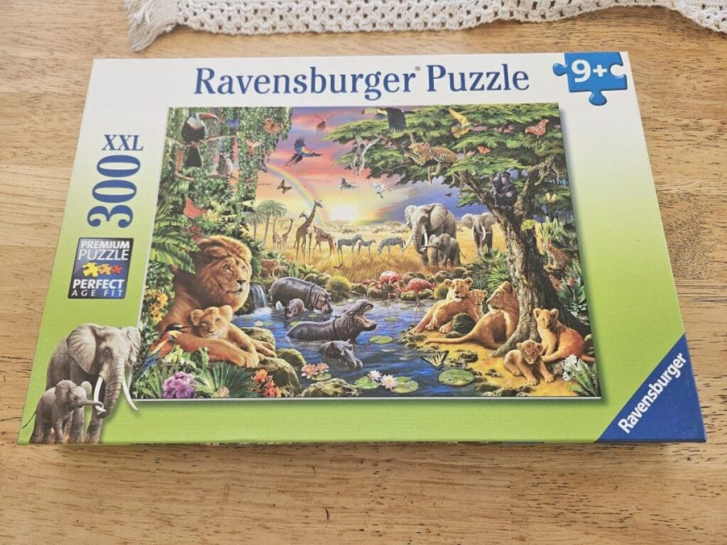 Fun lion puzzle.