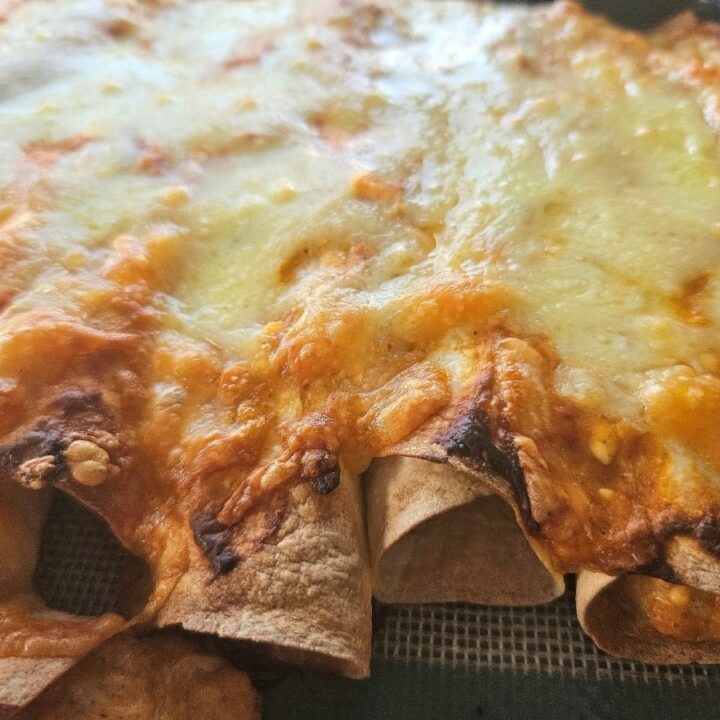 Creamy chicken enchilada recipe.