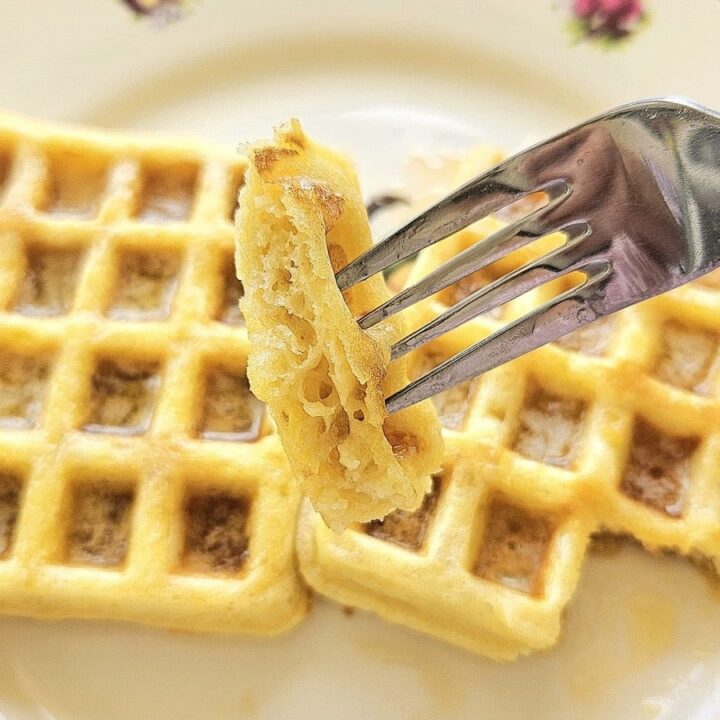 Sourdough Discard Waffles