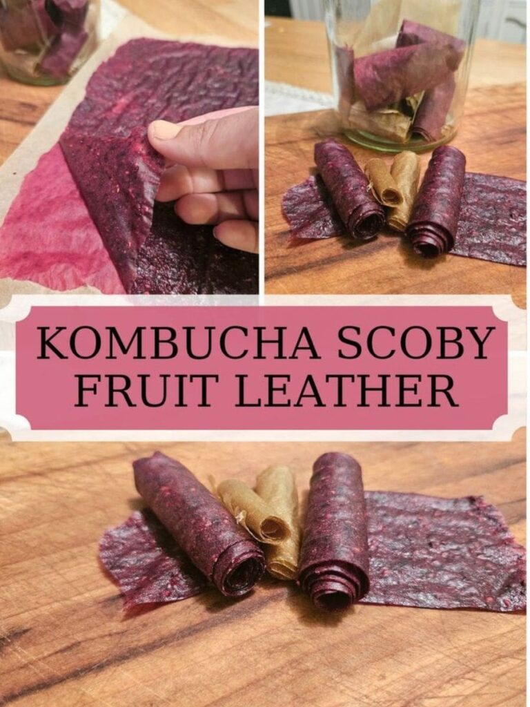 Easy Healthy snack for the kids and a great way to use up extra scobies. Start making this simple, healthy scoby fruit leather now!