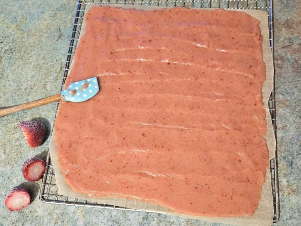 Spreading kombucha scoby fruit leather on a mat for dehydrating.