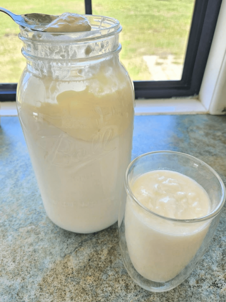 Thick milk kefir in a cup