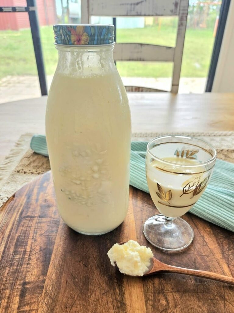 Milk kefir grains and milk kefir on the table