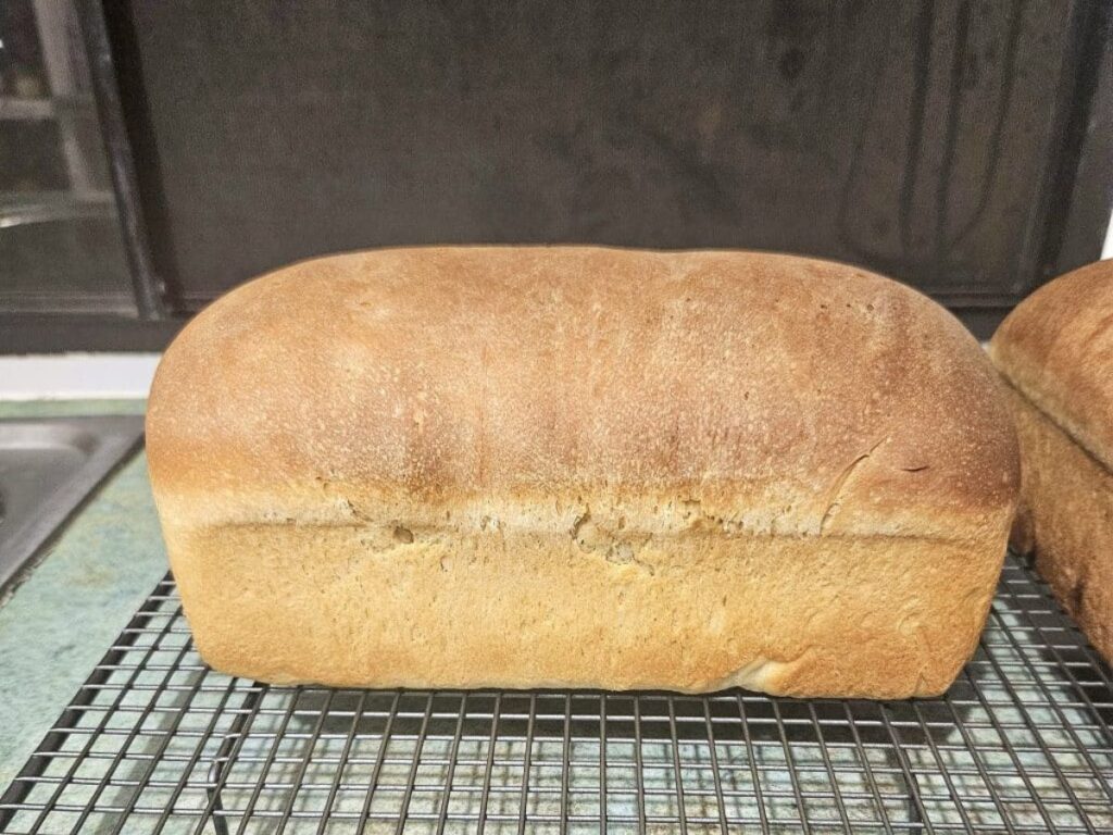 Freshly baked sourdough sandwich bread resting on a cooling rack.