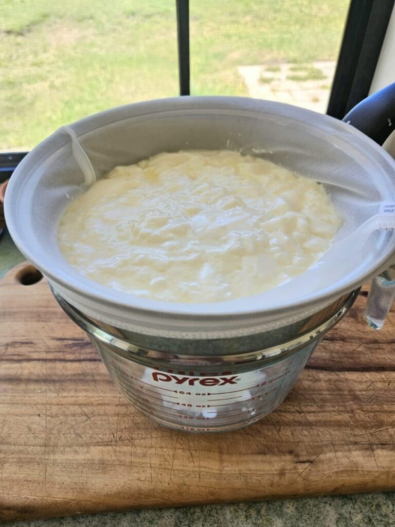 straining milk kefir to make a soft cheese.