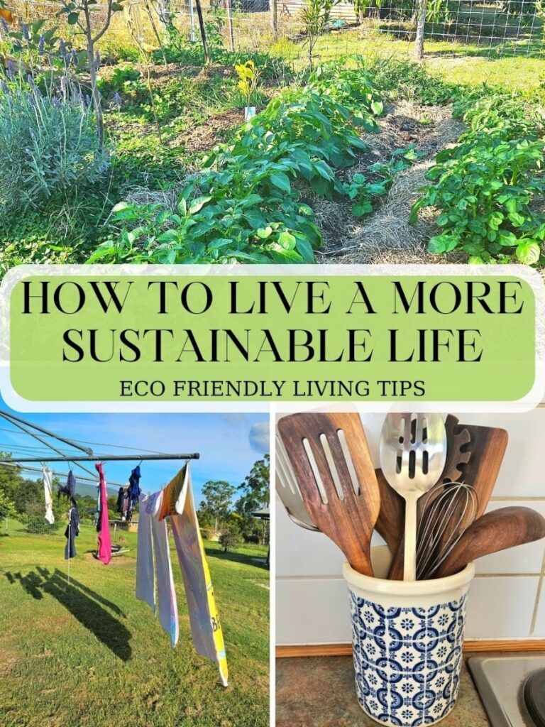 Living a sustainable lifestyle can be extremely rewarding and easy to do. Follow these tips to help you create a more eco friendly home.