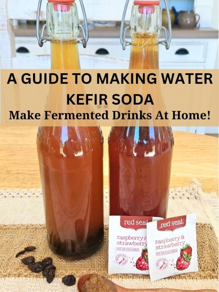 A beginners guide to making water kefir drinks and kefir soda at home. Tips on making kefir, 2nd fermentation, flavouring, storing and more!