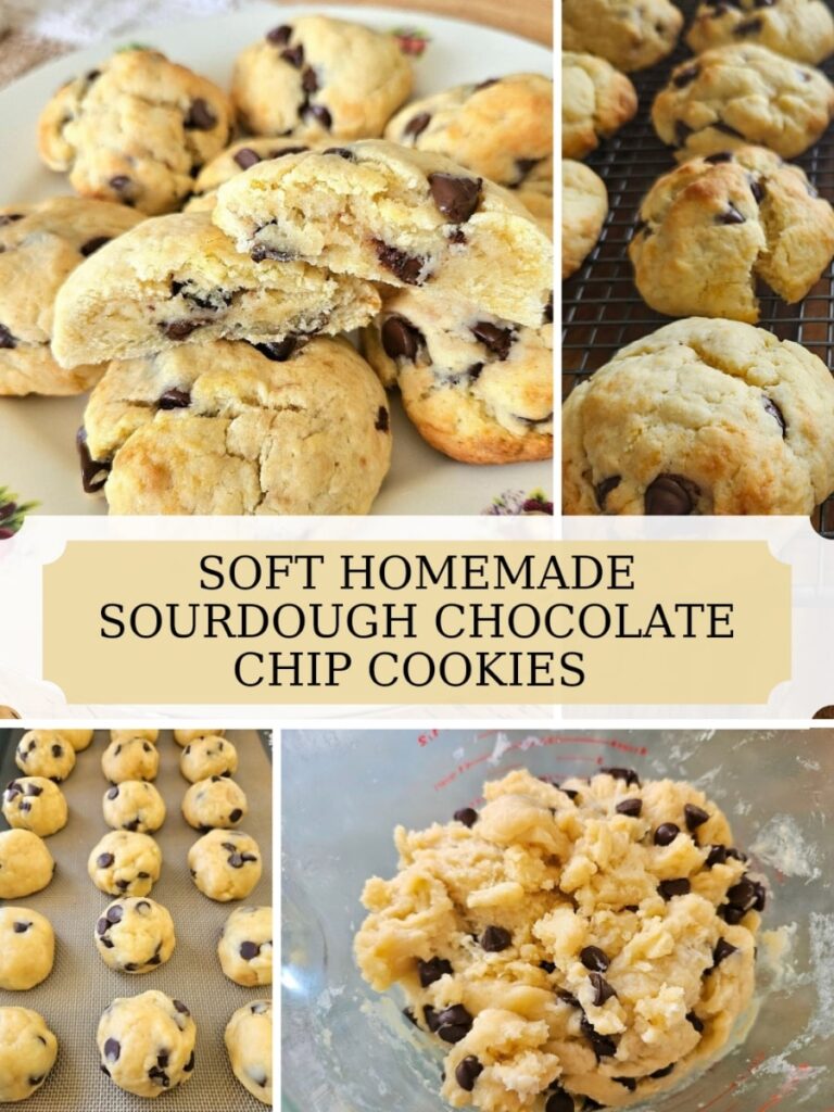 An easy homemade sourdough chocolate chip cookies recipe. Soft, melt in your mouth cookies that can be whipped up quickly.