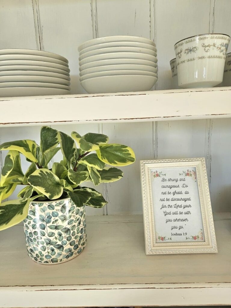 Adding beauty into the home with plants and quotes.