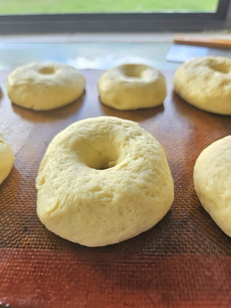 Making sourdough bagels.