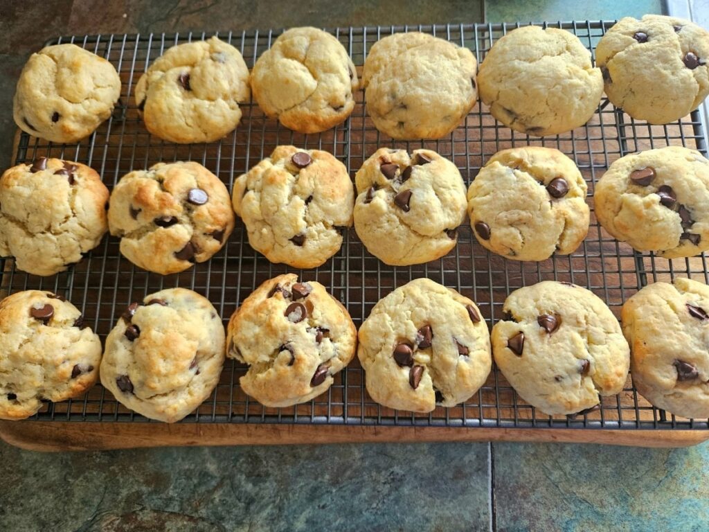 Baked chocolate chip cookies resting on a baking tray.