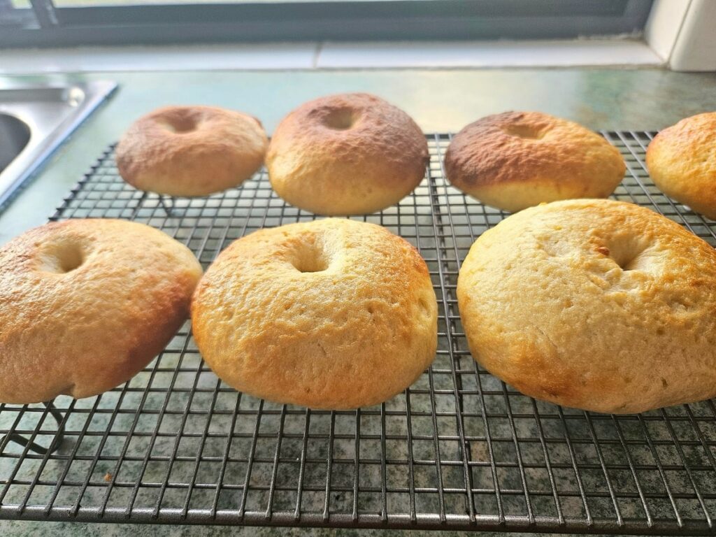 Sourdough Bagels resting on a cooling rack.