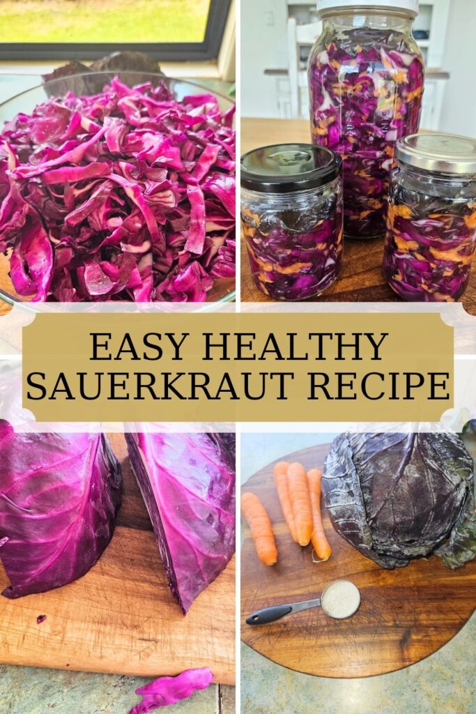 Here is a simple homemade sauerkraut recipe. It's Filled with probiotics and vitamins and is also delicious to eat.