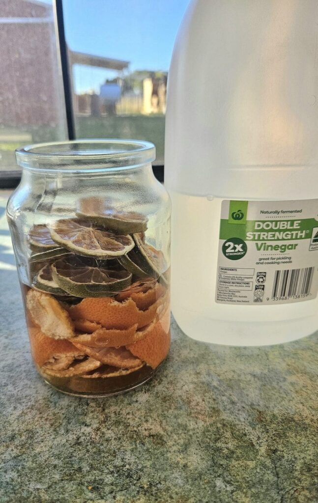 Dehydrated citrus soaking in vinegar.