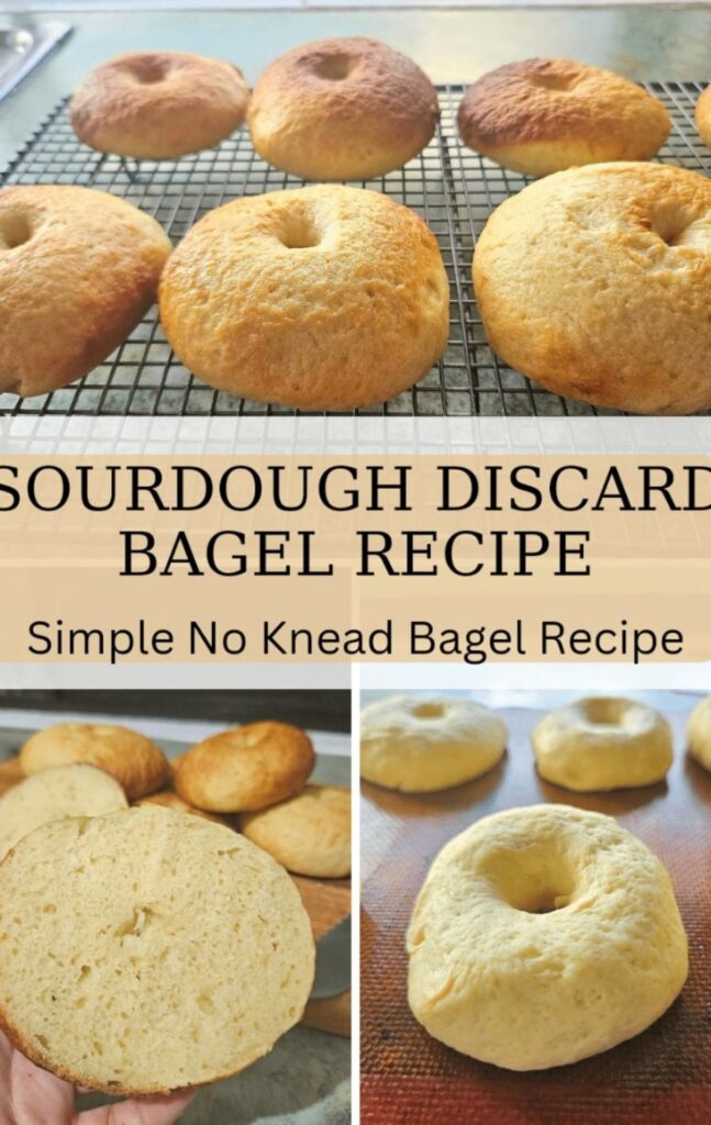 An easy homemade sourdough discard bagel recipe. You will love this chewy no knead simple recipe. Great for breakfast, lunch or as a snack.