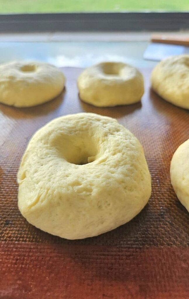 Sourdough Bagels rising on a silicone mat.