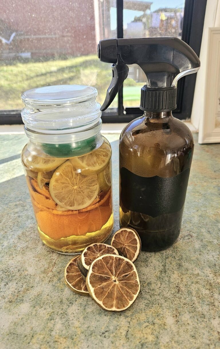 Vinegar spray bottle, and citrus in a jar with vinegar.