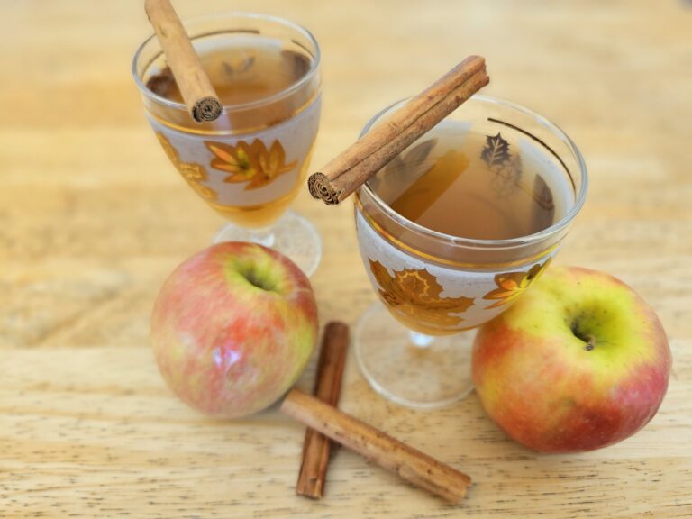 Homemade Apple cider in two glasses with apples and cinnamon.