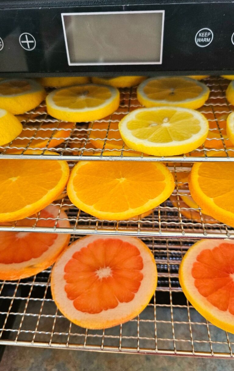 Placing citrus in a dehydrator.