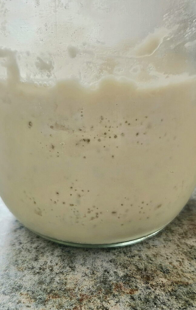 Sourdough start rising in a jar.