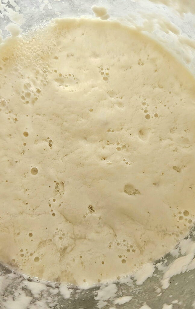 Bubbly sourdough starter in a jar.